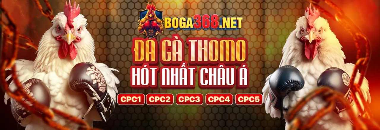 Đá Gà Trực Tuyến Hấp Dẫn tại jn88 nổ hũ